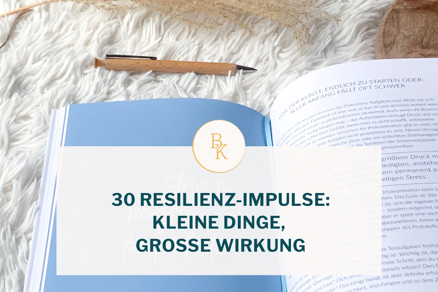 Read more about the article 30 Resilienz-Impulse: kleine Dinge, große Wirkung