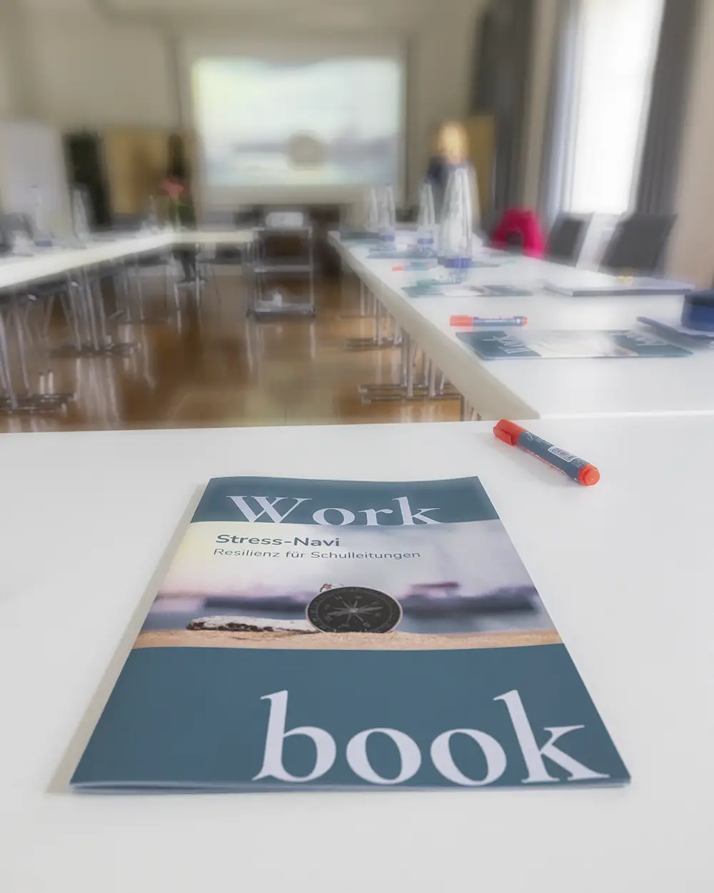 bianca-kaminsky-workshops Resilienz-Workshops. Online und vor Ort.